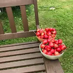 Apartman Teplice Nad Metuji *