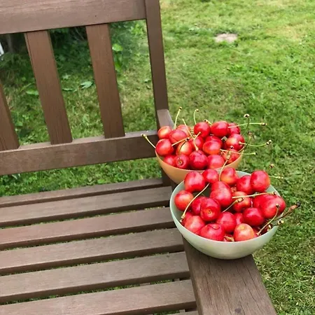 Apartman Teplice Nad Metuji *