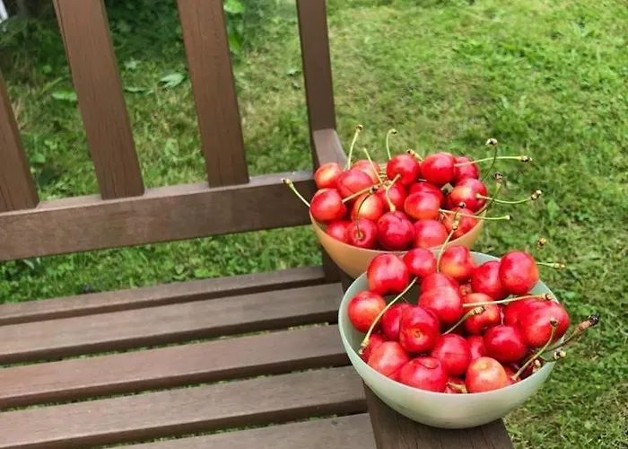 Apartman Teplice Nad Metuji *